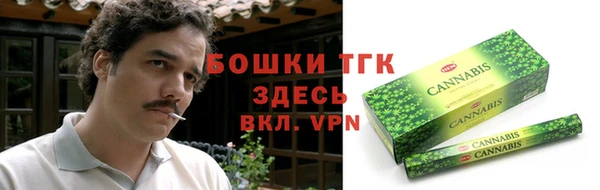 хмурый Пересвет