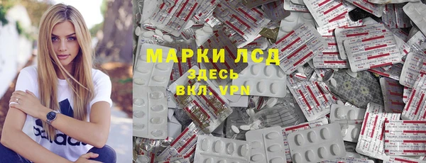 прущие грибы Арсеньев