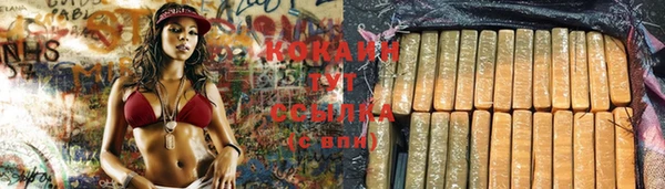 дмт Баксан