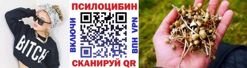купить наркотик  гидра ONION  Псилоцибиновые грибы Psilocybe  Ржев 